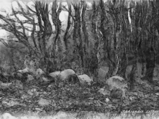 Stones, A. Lefbard, 2014, digiart