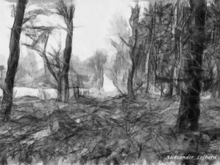 Forest, A. Lefbard, 2014, digiart